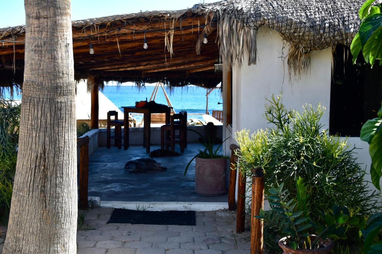 Rustico Lounge - Property In Front Of The Beach San José del Cabo Buitenkant foto